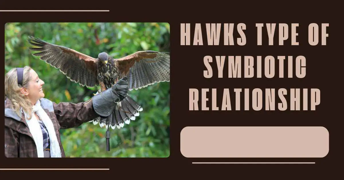 hawks type of symbiotic relationship