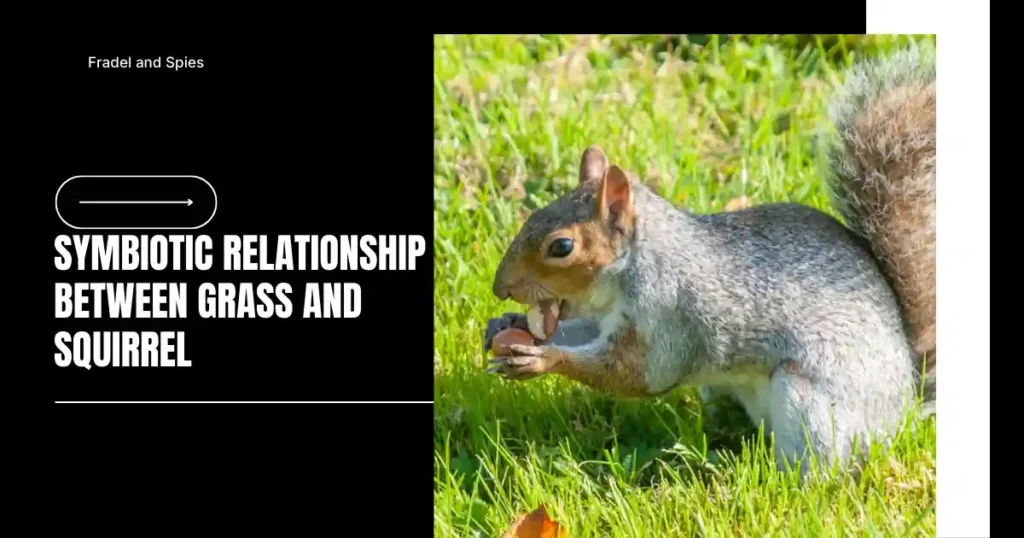 symbiotic relationship between grass and squirrel